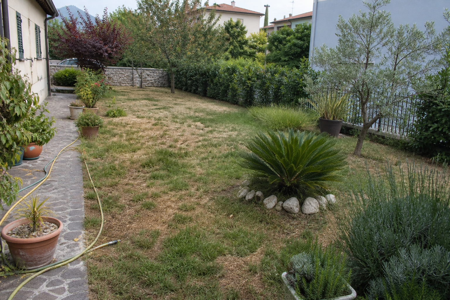 Progettazione giardini a Brescia - problema da risolvere